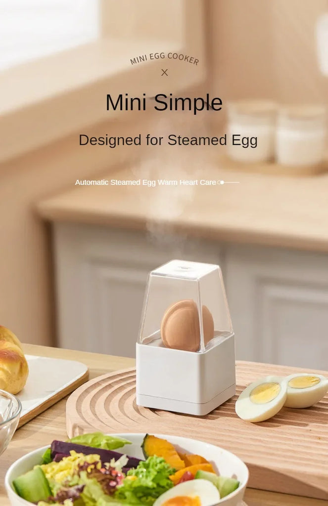 220V Portable Egg Boiler and Steamer with Automatic Power Off for Home and Office Use